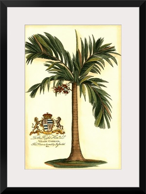 British Colonial Palm I