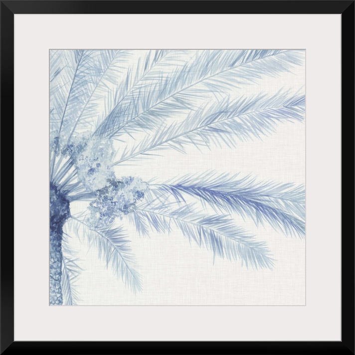 A blue palm split between two panels against a white background.