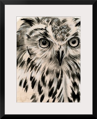 Charcoal Owl I