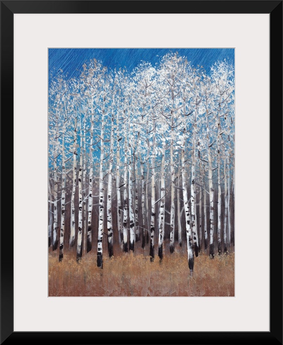 Contemporary painting of a forest of white birch trees under a blue sky.