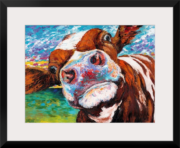 A whimsical close up portrait of a brown and white cow sticking it's nose right up against the viewer. Animal lovers and f...
