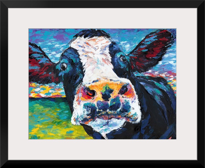 Curious Cow II