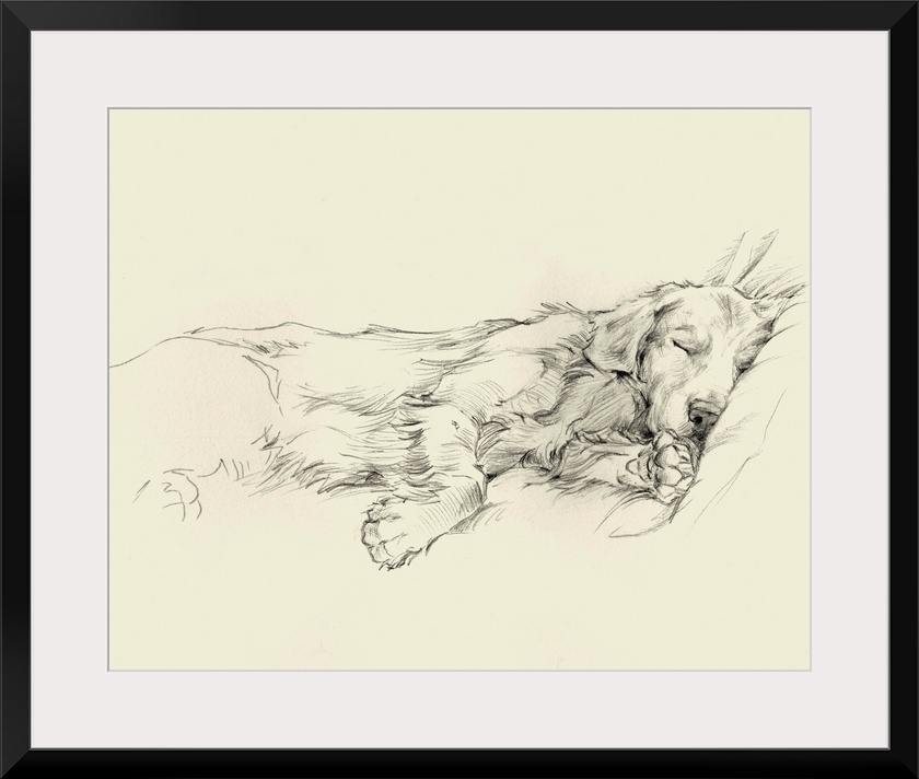 Pencil drawing of a dog sleeping deeply on a couch.