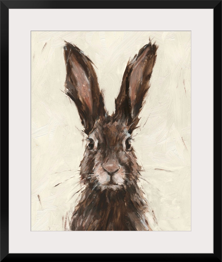 European Hare I