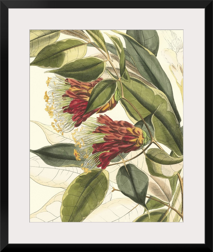 Vintage stylized botanical illustration.