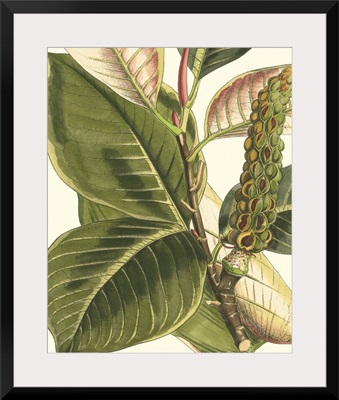 Fantastical Botanical IV