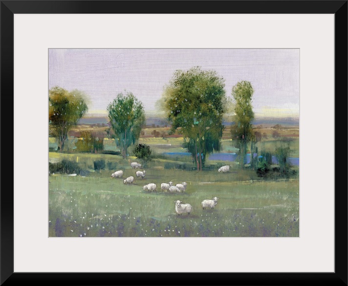 Field of Sheep I