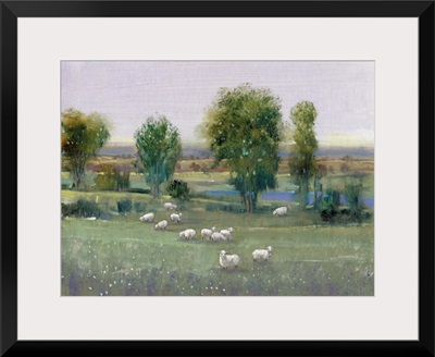 Field of Sheep I