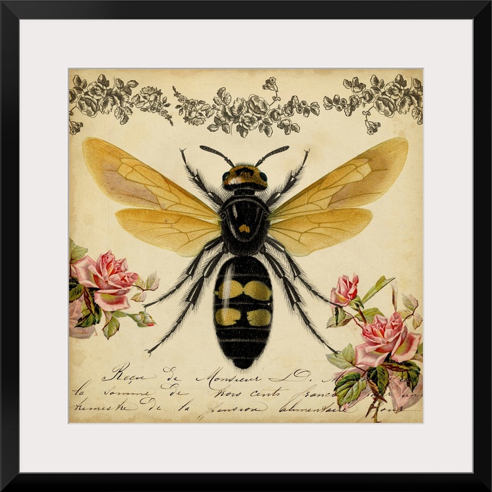 From the Rose Garden I