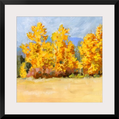 Golden Aspen Trees I