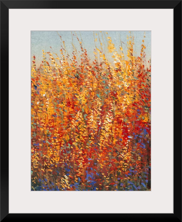 High Desert Blossoms I