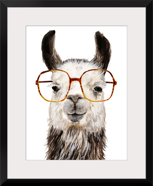 Hip Llama III