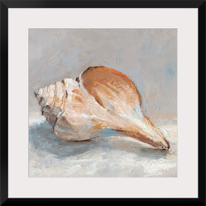 Impressionist Shell Study III