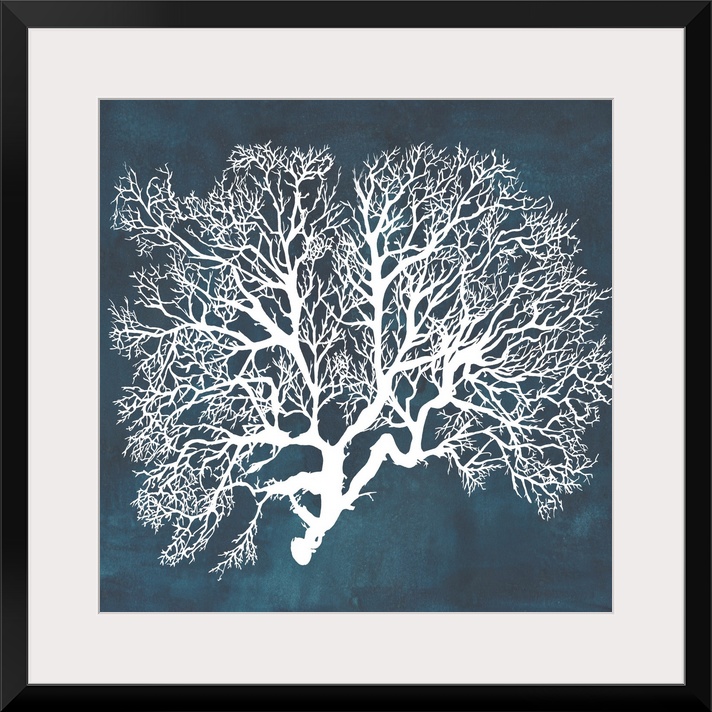 Contemporary nautical themed artwork of a sea fan in white against a dark navy blue background.