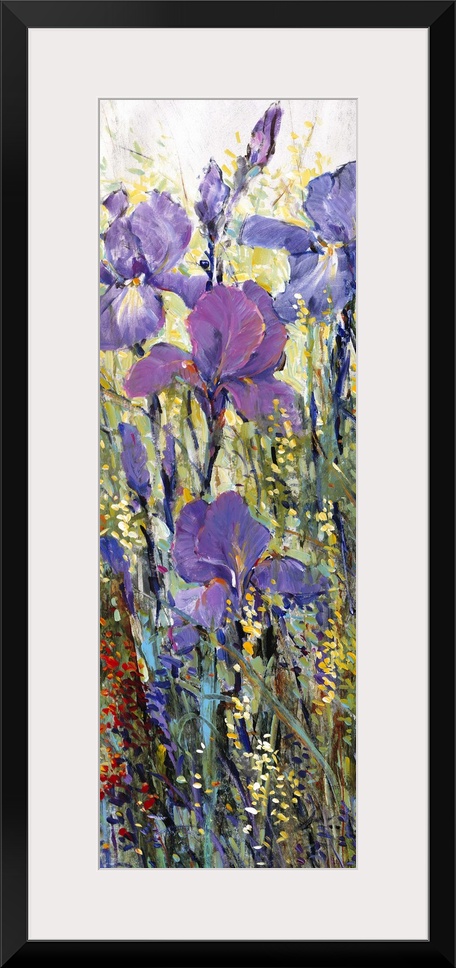 Iris Field I