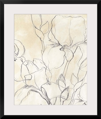Iris Garden Sketch II