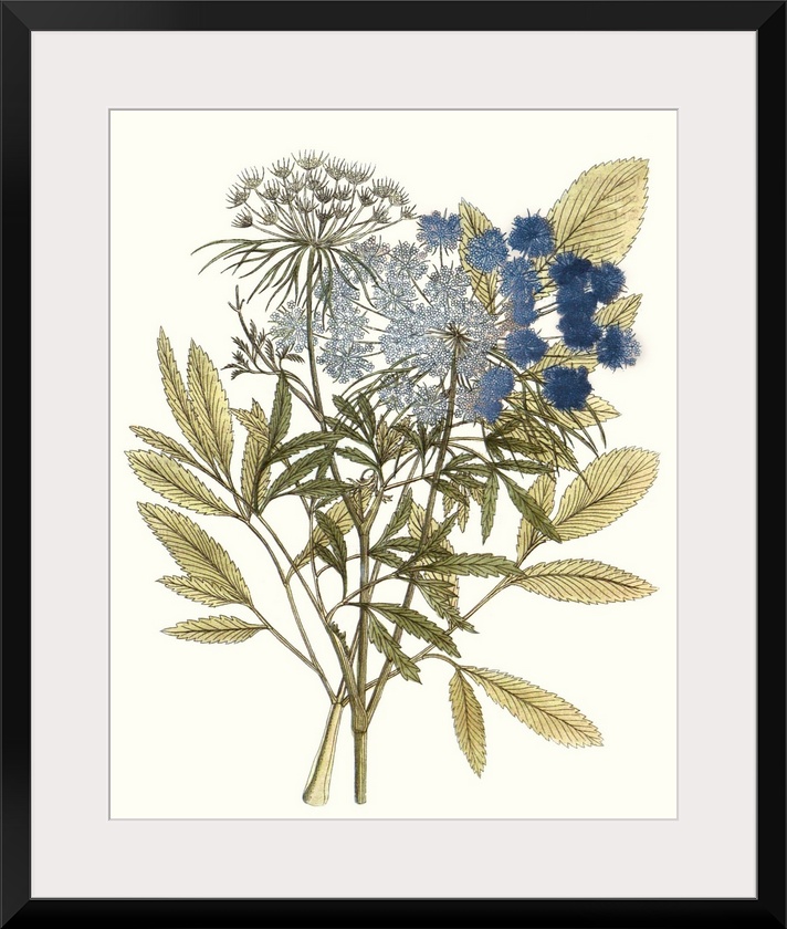 A decorative vintage illustration of group of leaves.