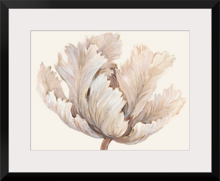 Monochromatic Tulip I