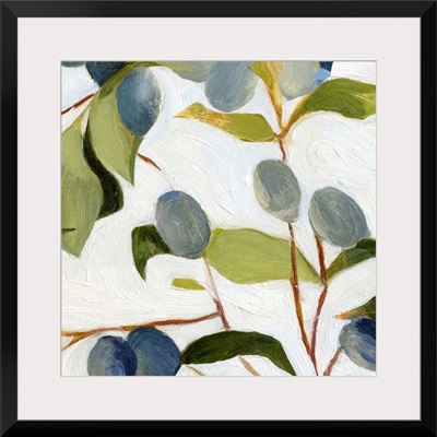 Olives On The Branch I