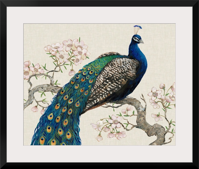 Peacock and Blossoms I