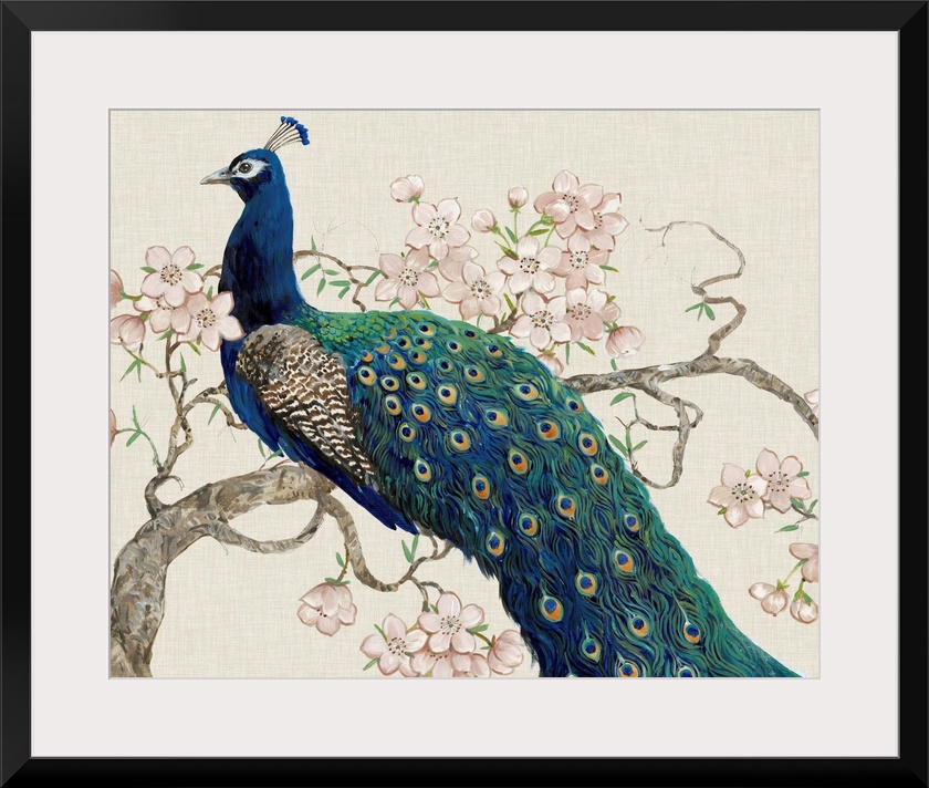 Peacock and Blossoms II