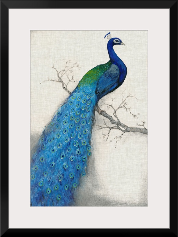 Vertical, large artwork of a vibrant peacock sitting on a branch, its tail feathers flowing downward, on a neutral backgro...