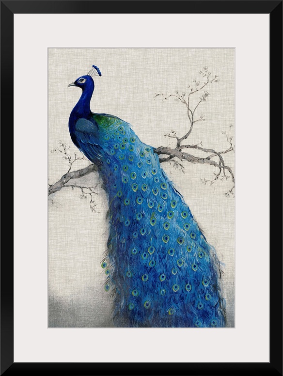 Vertical, large artwork of a vibrant peacock sitting on a branch, its tail feathers flowing downward, on a neutral backgro...