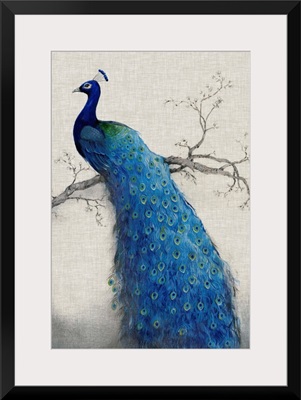 Peacock Blue II