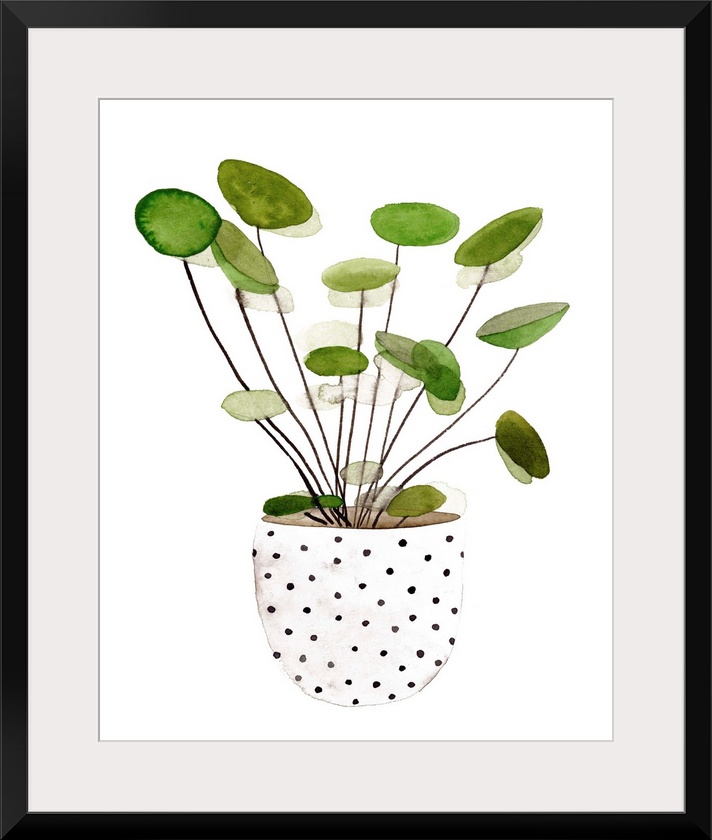 Plant in a Pot II