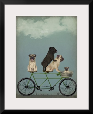 Pug Tandem