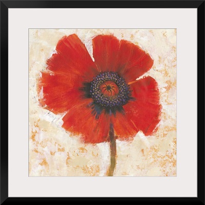 Red Poppy Portrait I