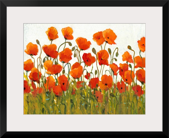 Rows of Poppies I