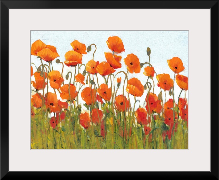 Rows of Poppies II