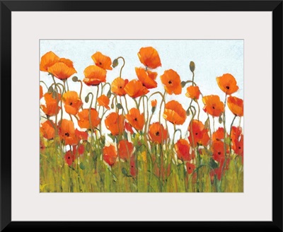 Rows of Poppies II