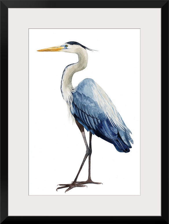 Modern illustration of a great blue heron on a white background.