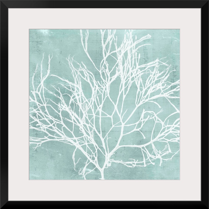 Seaweed illustration in white on an aquamarine blue background.