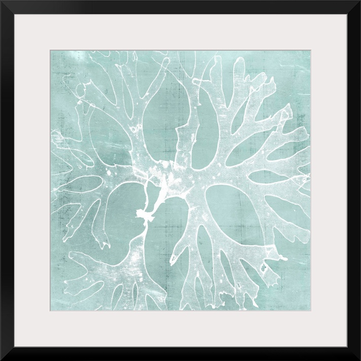 Seaweed illustration in white on an aquamarine blue background.