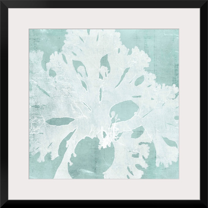 Seaweed illustration in white on an aquamarine blue background.