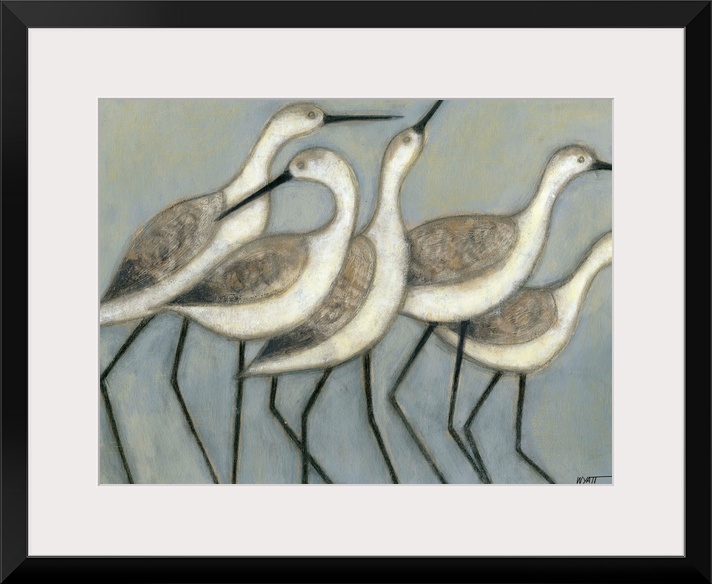 A group of wader birds stand next to each other against a cool toned background.