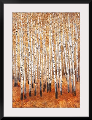 Sienna Birches II