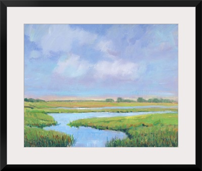 Summer Marsh II