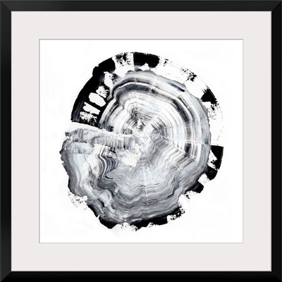 Tree Ring Abstract III