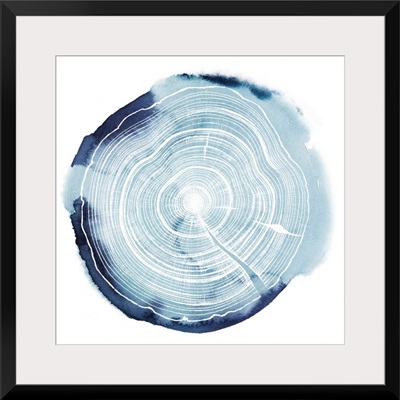 Tree Ring Overlay III