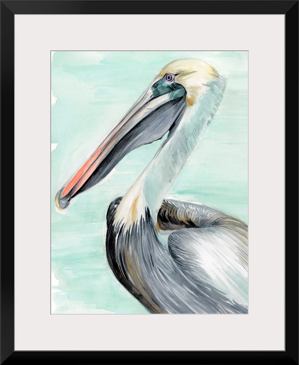 Turquoise Pelican II