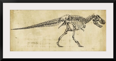 Tyrannosaurus Rex Study