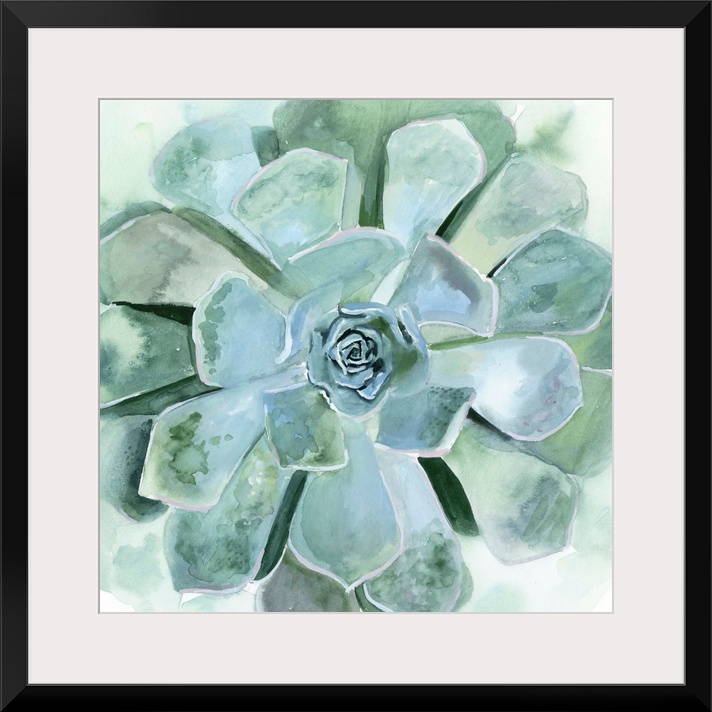 Verdant Succulent III