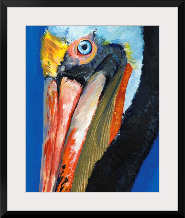 Vibrant Pelican I