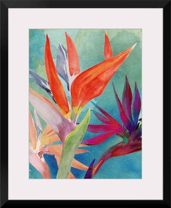 Vivid Birds of Paradise I