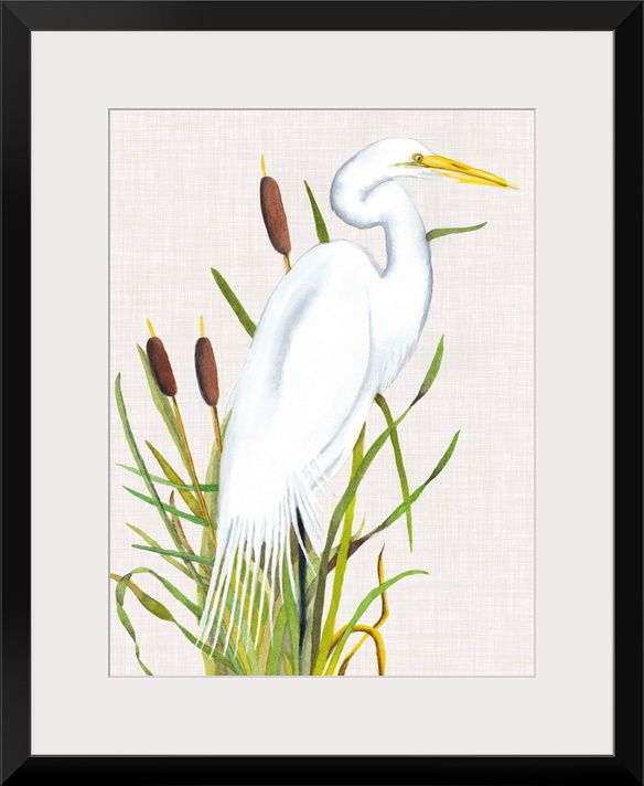 Painting of a white egret standing in tall reeds.