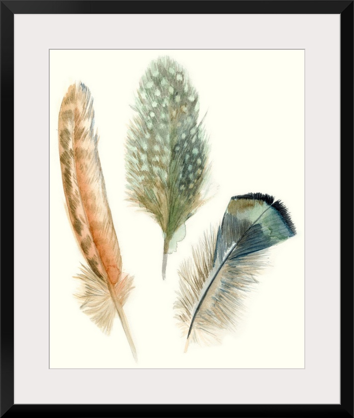 Contemporary watercolor feather illustrations.